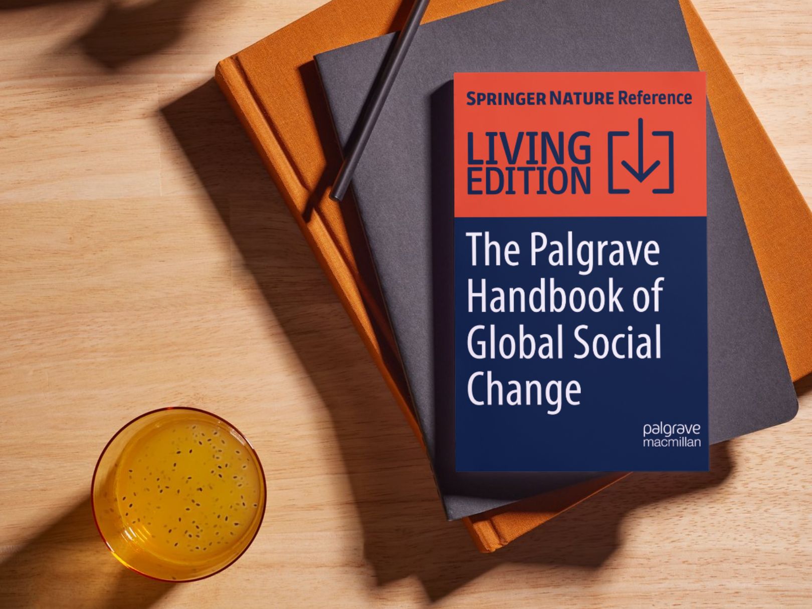 Capítulo de Sílvia Leiria Viegas publicado em livro da Springer Nature