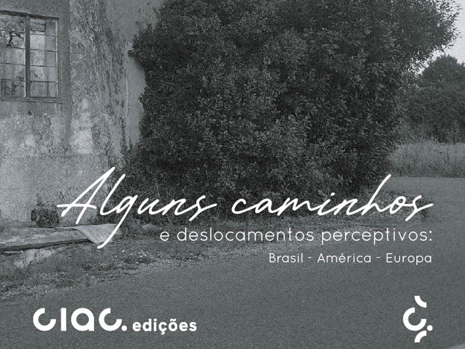 The e-book “Some Paths and Perceptual Displacements: Brazil – America – Europe” is now available