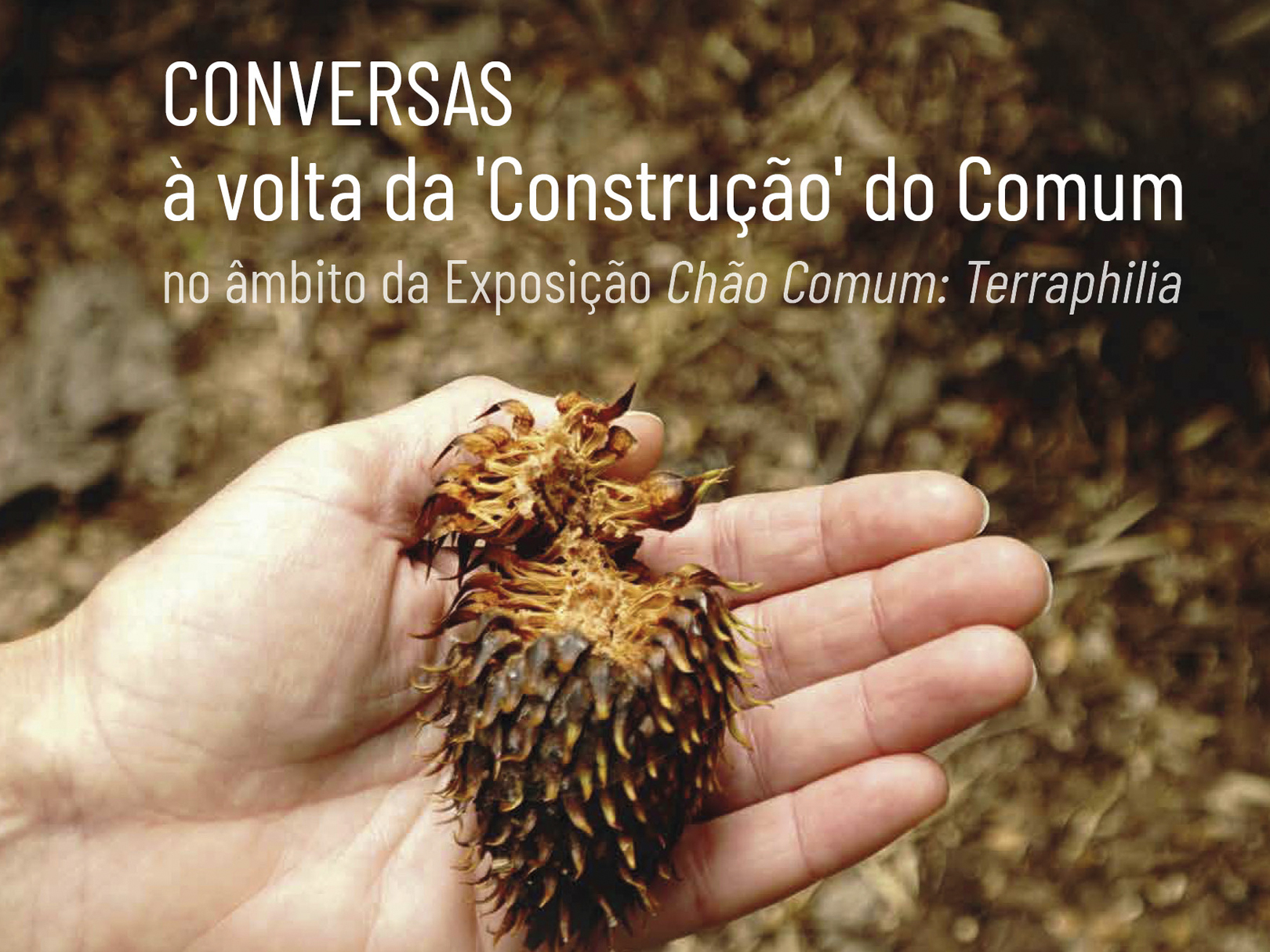 CIAC promove ciclo de conversas sobre a “Construção do Comum” a partir da exposição “Chão Comum: Terraphilia”