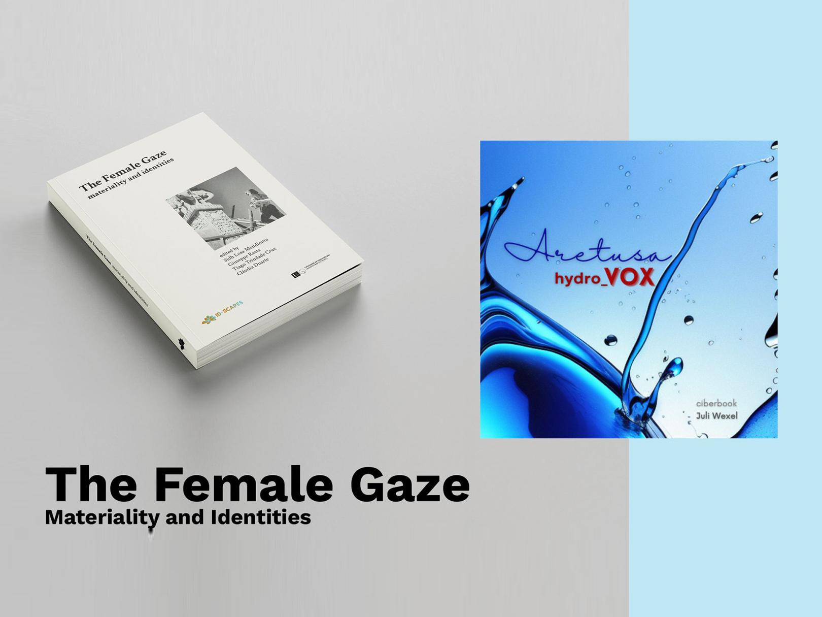 Book published by FAUP includes a chapter by a CIAC researcher