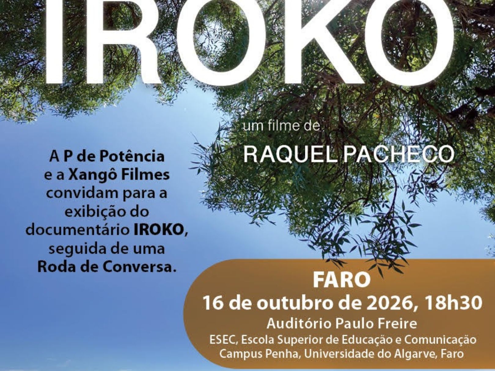 CIAC acolhe exibição do documentário “IROKO”: histórias de mulheres migrantes em Portugal